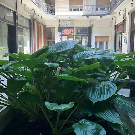 Appartamento Fehérhajó 12-14