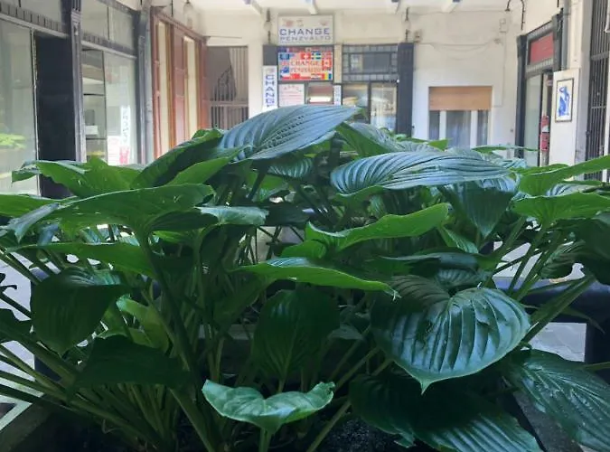 Apartament Feherhajo 12-14